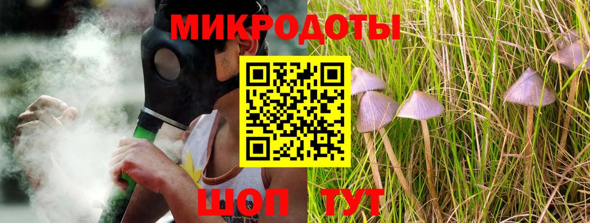 Псилоцибиновые грибы Cubensis Лянтор